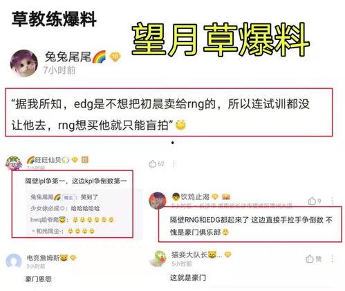 望月草最新爆料,揭秘娱乐圈惊天秘密  第2张